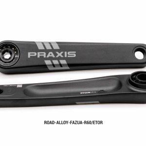 Praxis e-Crank Type 6